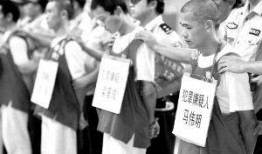番禺分局爆料案件最新,惊曝重大案件细节披露