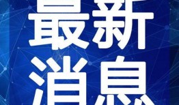 大拿海鲜爆料视频大全最新,揭秘海鲜市场最新动态与独家内幕