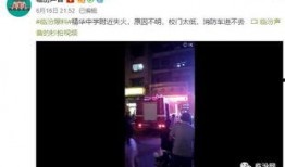 最新高校爆料视频播放大全,揭秘校园生活幕后真相