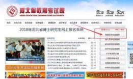 河北艺考爆料最新消息,揭秘热门专业录取情况及备考策略