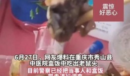 最新爆料老鼠视频大全集,最新老鼠视频大全集深度解析