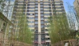 今天楼盘爆料最新消息,揭秘神秘项目即将亮相