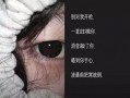 网名最新爆料大全,网名最新爆料大全深度解析