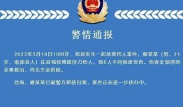 南充自媒体爆料案件最新,真相背后，正义能否得以伸张？