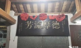 丰顺现场爆料视频最新,最新视频揭示惊人真相！